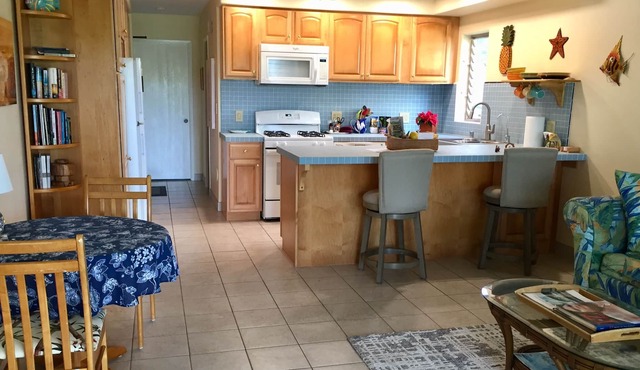 Superior Wavecrest Condo by Ocean with Extras, Car Available