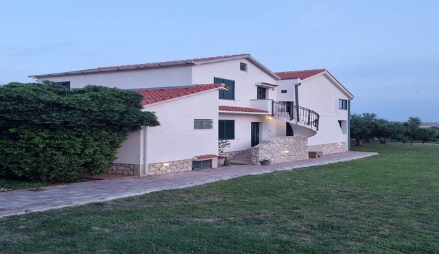 Supreme Povljana Apartment for 3