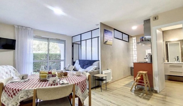 "sur la Rive du Gave": Appartement 40m2, 3 Étoiles, Petits Animaux Acceptés