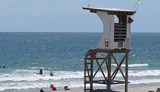 Surf Suites