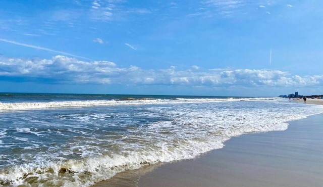 Surfers Paradise: Cozy Home near Hanna Park Poles