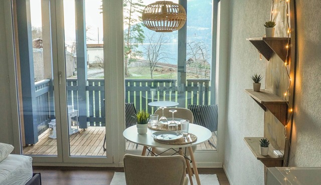 Surfers Studio with pool and beach, near Interlaken and Grindelwald