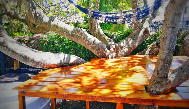 SURFtoLIVE House - Hostel