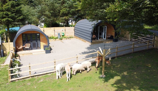 suri luxury eco glamping pod @ little peru alpaca farm