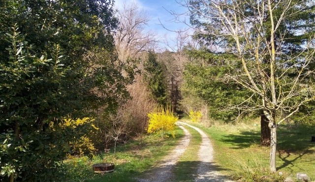 Surrounded by forests, foothills & rivers, spacious Gite in the Cathare Country