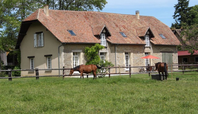 surrounded by horses, superb character longère - 14 pers. - 7 bedrooms