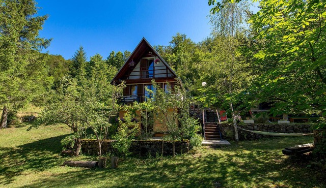 Surrounded by pine trees is this small cottage.