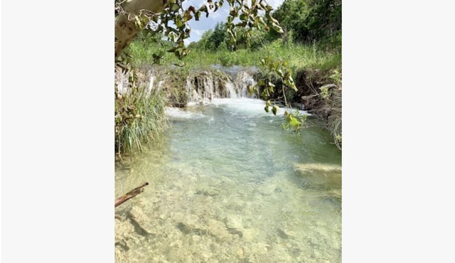 Surya Nature Retreat on 40 Acres with Amazing Views!