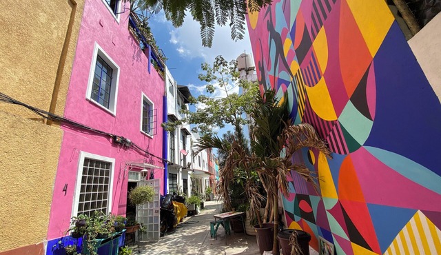 Sustainable 3 Bedroom Home - Casa Vecindad Murales