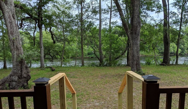 Suwannee River Cabin Sanctuary - Michael's cabin