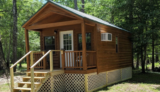 Suwannee River Cabin Sanctuary - Our son's cabin