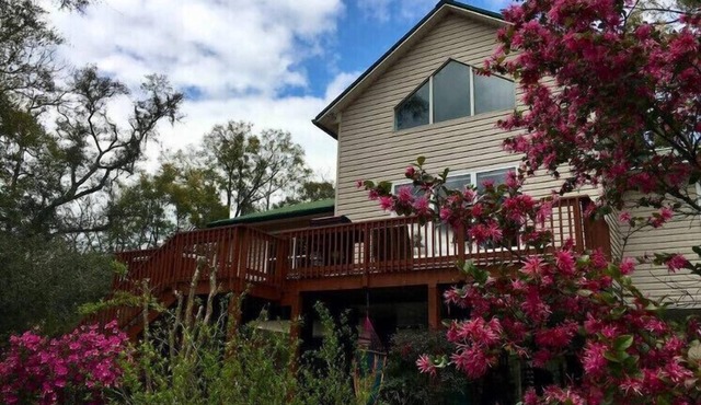 Suwannee River house, 18 acres of wilderness property; kayak, fish, swim, bike.