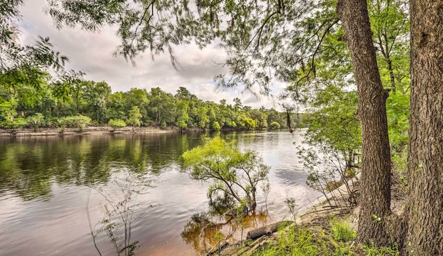 Suwannee Riverfront Home: Grill, Near Springs