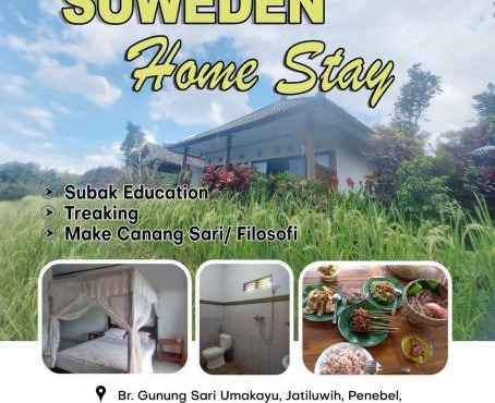 Suweden homestay jatiluwih