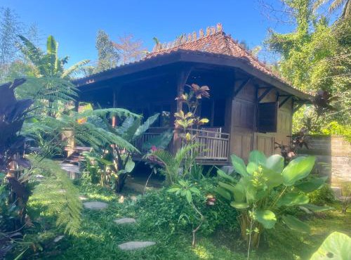 Svarga Uma Cottage - Unwind Amidst Bali Starling Sanctuary