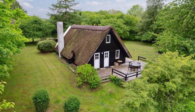 "Svenne" - 1.4km from the sea by Interhome