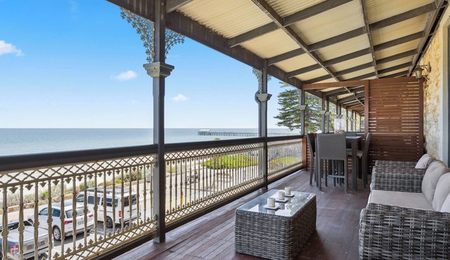 Swainson at Del Monte