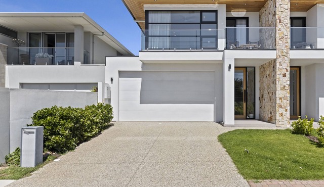 Swainson on Lexington