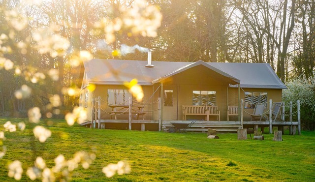 Swallow at Sweffling Hall