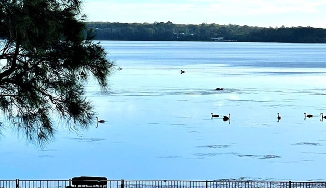 Swan Lake House - Waterfront Home