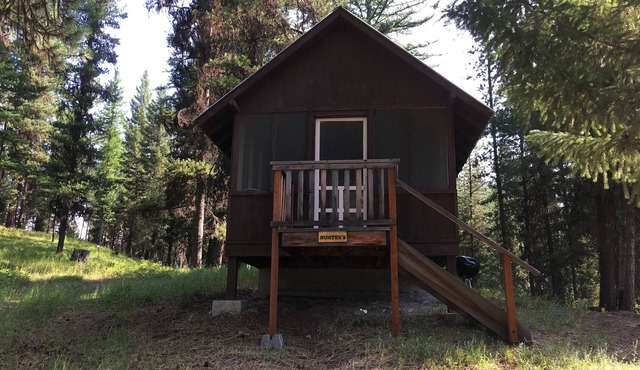 SWAN VALLEY BUNKBED EFFICIENCY IN CONDON