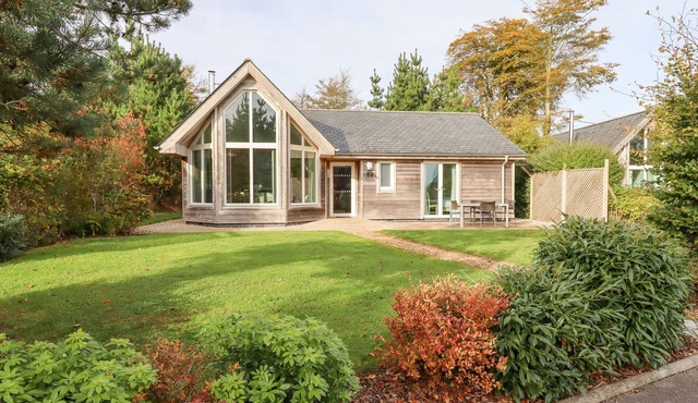 SWANDOWN, 2 BLACKDOWN, family friendly in Cricket St. Thomas