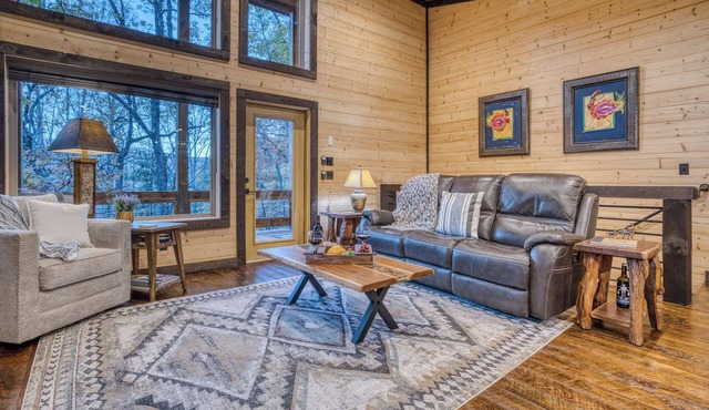 Swanky Fox - hot tub-modern-fireplaces-pets-games