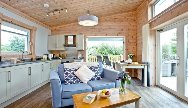 Swanpool, Great Field Lodges - a lodge that sleeps 2 guests in 1 bedroom