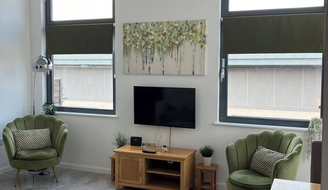 SWANSEA, Marina View & Arena View, Nr City & 3 Mins to Beach