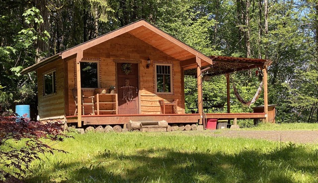 Swedish Cabin in the Woods with Columbia River Views