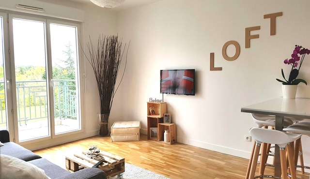 Sweet apartment in the front of Disneyland's castel