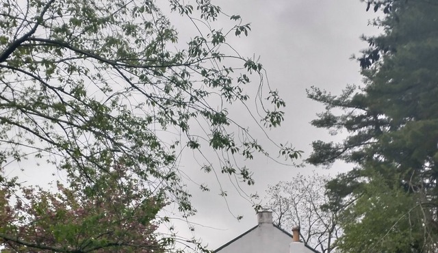 Sweet Farmhouse in Charming Skippack PA