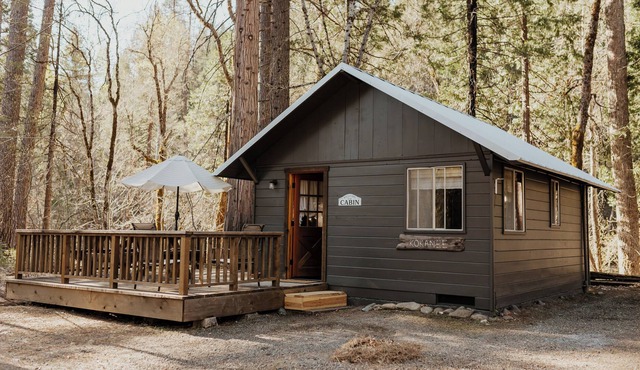 Sweet Kokanee Cabin located on Coffee Creek in Trinity Alps