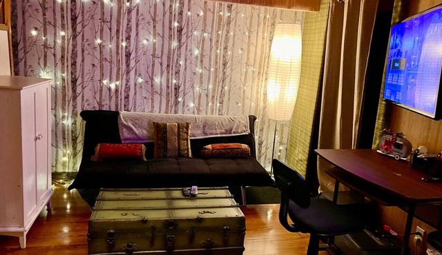 Sweet Little Glamping Cottage w/AC - Durham, NC