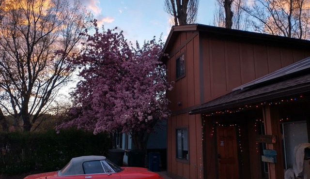 Sweet Private 2 room Guest Suite near Downtown Flagstaff and Snowbowl