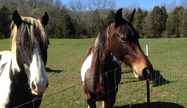 Sweet produced home in Booneville