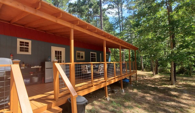 Sweet Serenity! Newly Built Cabin on 13 Acres. Pet Friendly!