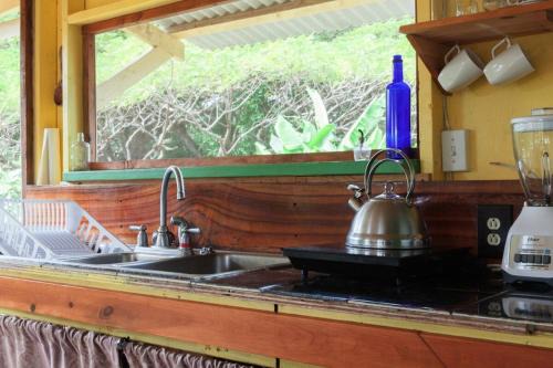 Sweet Spot Stay - Tropical TreeTops