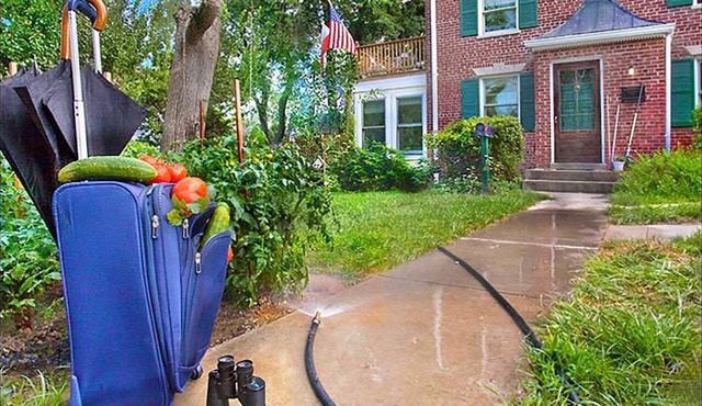 Sweet, Suite Garden Retreat
