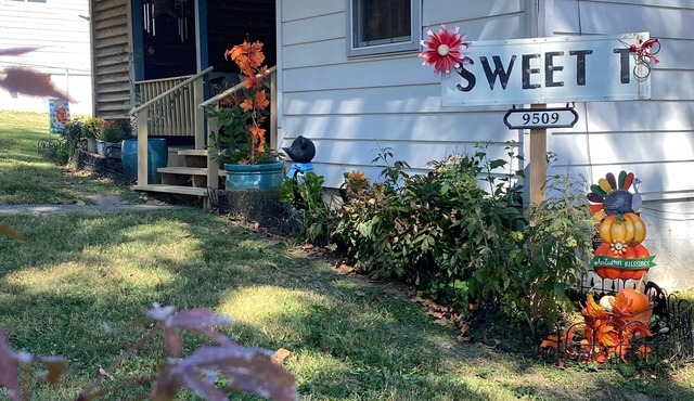 Sweet T's near UT, Great Smokey Mountains, Oak Ridge, or Norris Lake!