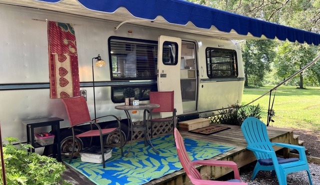 Sweet Vintage Camper in a Fun Farm Setting