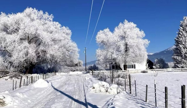 Sweetheart Ranch : Pet-Friendly Historic Farmhouse with Mountain Views