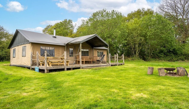 Swift at Sweffling Hall, Suffolk