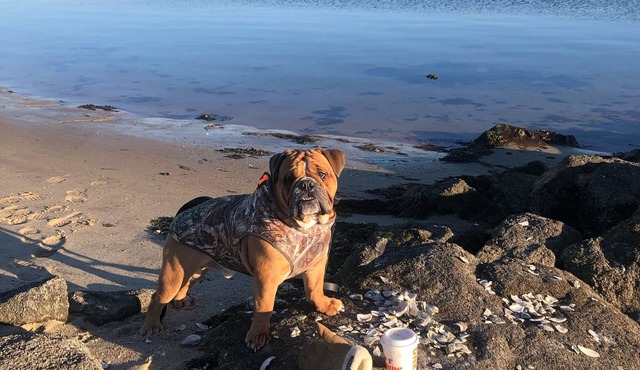 Swift Beach-beach house sleeps 8 Walking distance to the beach Wareham, MA