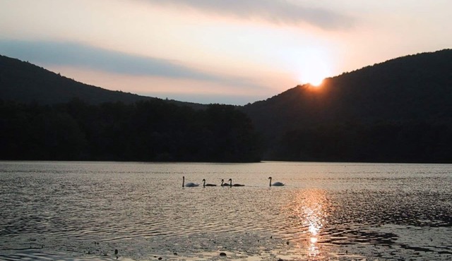 Swim, kayak, hike, fish, ski and enjoy the countryside in this rustic cabin