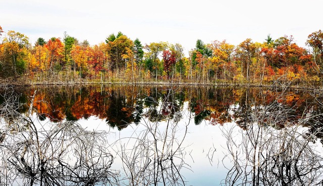 Swimming,boat,kayak,fish,BBQ,ATV,hike,Huge Deck,pets,Nordic MT- ski,tube,private