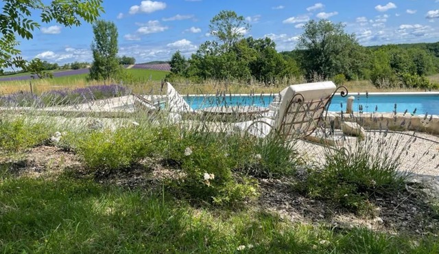 Swimming pool in the middle of lavender at Clau de Ratelle
