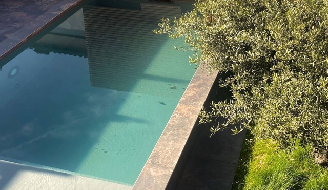 Swimming pool and incredible toulousian house !