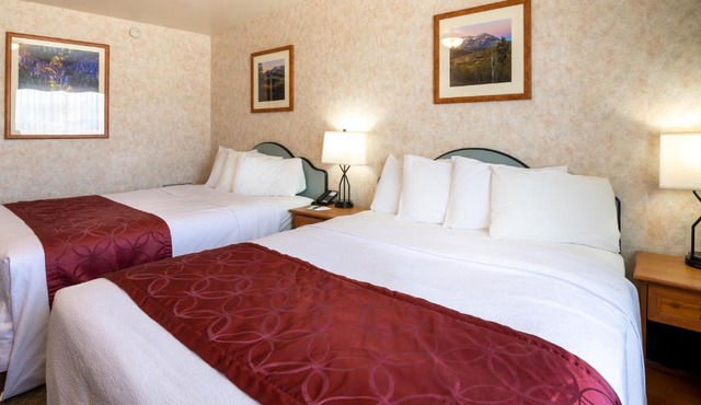 Swiss Alps Inn