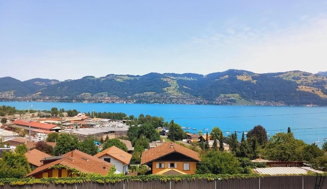 Swiss Apartment Thunersee